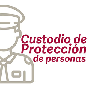 Nuestros Servicios